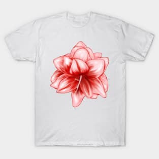 Vintage-look Pink and White Amaryllis T-Shirt